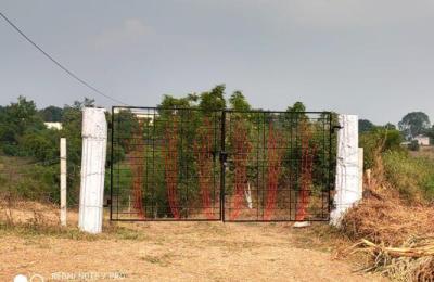 Farm House for Sale in Saoner, Nagpur, Maharashtra | Kashyap's Farm