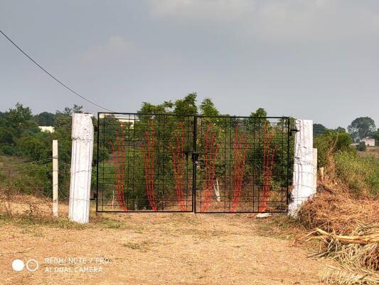 Farm House for Sale in Saoner, Nagpur, Maharashtra | Kashyap's Farm
