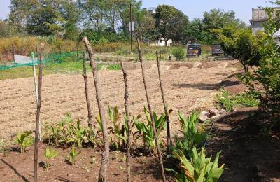 Farm House for Sale in Velhe, Pune