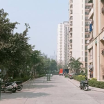 1 BHK Builder Floor 200 Sq-ft For Rent in Sector 135, Noida
