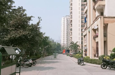 1 BHK Builder Floor 200 Sq-ft For Rent in Sector 135, Noida